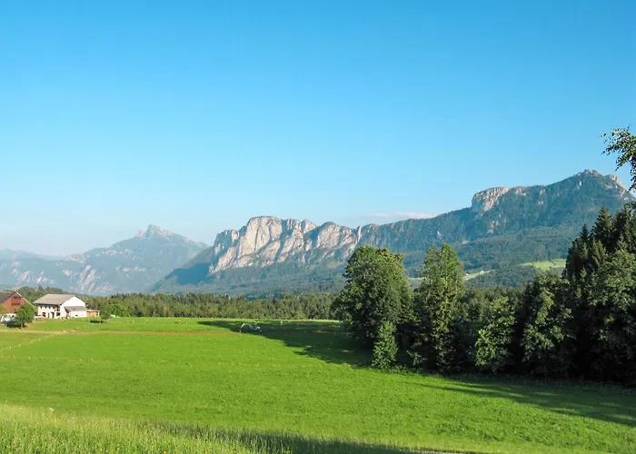 Fichte By Interhome Oberwang