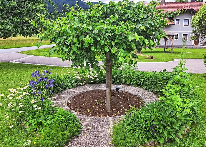 Fichte By Interhome Daire