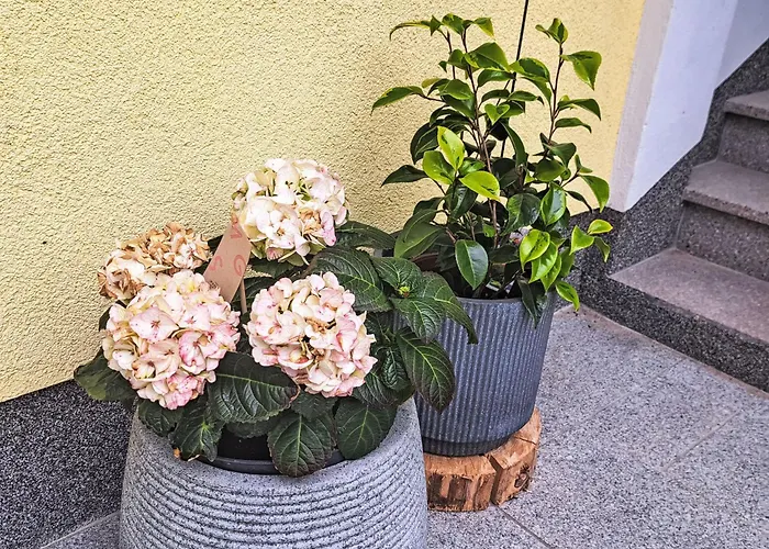 Fichte By Interhome *