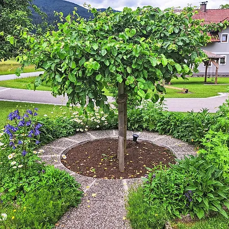 Fichte By Interhome דירה