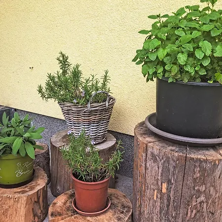 Fichte By Interhome *