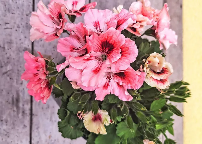 Διαμέρισμα Fichte By Interhome Oberwang