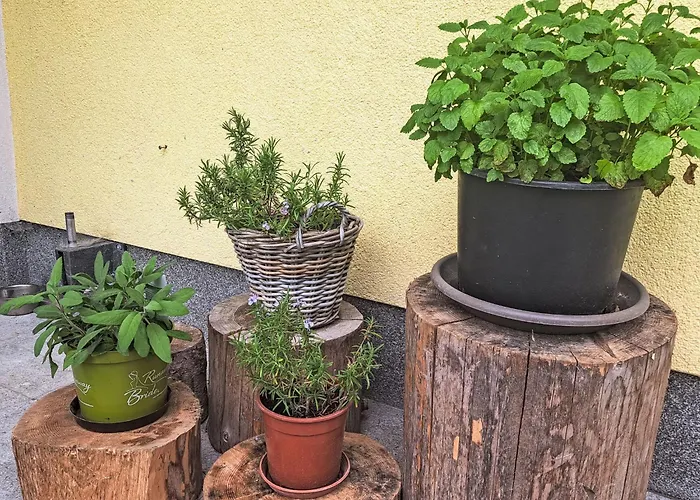 Fichte By Interhome *